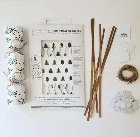 Growing Paper DIY Christmas Cracker Kit